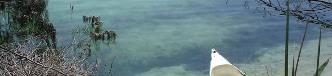 sorakune's header image