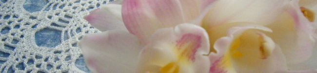 和CAFE's header image