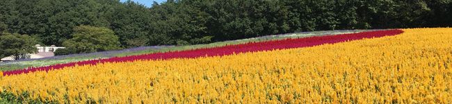 kt1416's header image