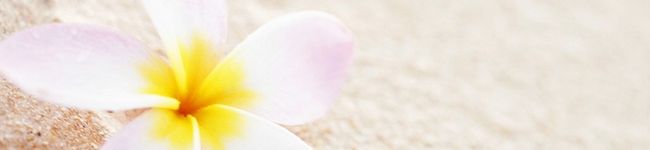 maron09's header image