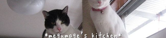 megumage's header image