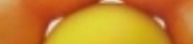 氷野あやめ's header image