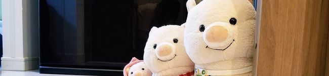 GyuuNiku's header image