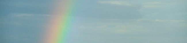 まあこぱんだ's header image