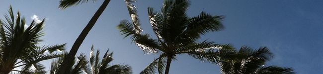 ANDYSAN's header image