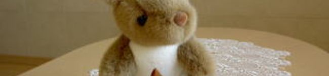 panda2010's header image