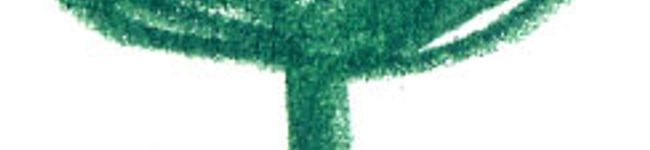 iLeaf's header image