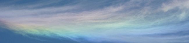 Elly’s's header image