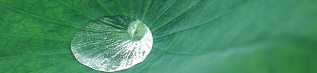 accele's header image