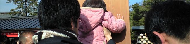tokukinoko's header image