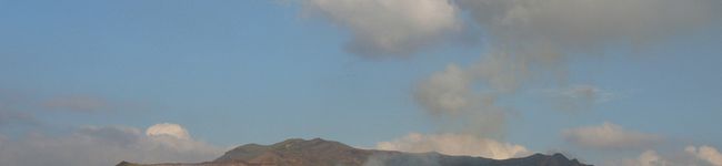 はちこ2010's header image
