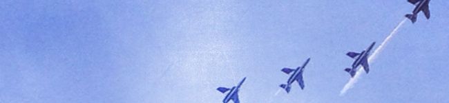 ankarise's header image
