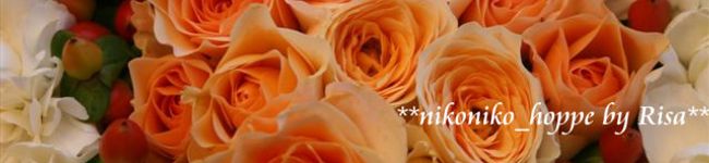 Risasmile's header image