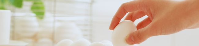 takecchin's header image
