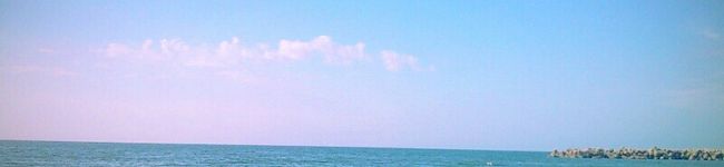 monro219's header image
