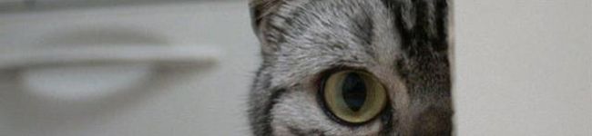 ･:;†有希†;:･'s header image