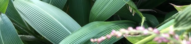 audrey9's header image