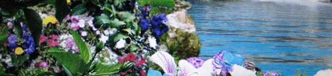 namewho's header image