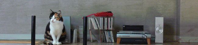 aiko9503's header image