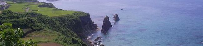 Lapinounou's header image