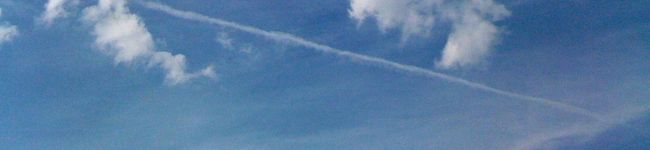 u310's header image