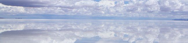 シルバニアF's header image