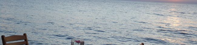 lavender14's header image