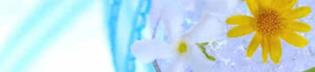 ★いわし★'s header image