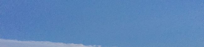 みってぃくん's header image