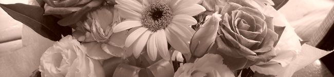 Sie♪'s header image