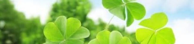 RUKA0707's header image