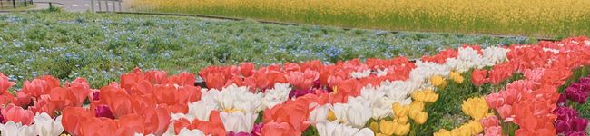 maricamera's header image