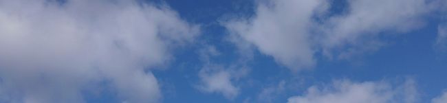 RyukaM's header image