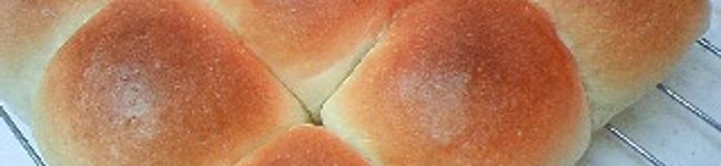 mary's header image