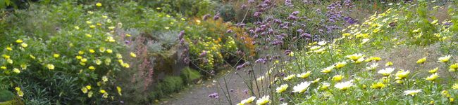 cots's header image