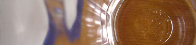 nide's header image