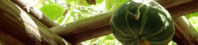 geki_kara's header image
