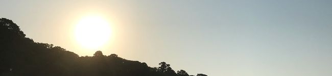 まじょこねこ's header image