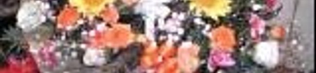 enough's header image