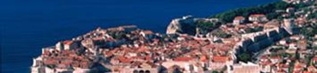 Carine's header image