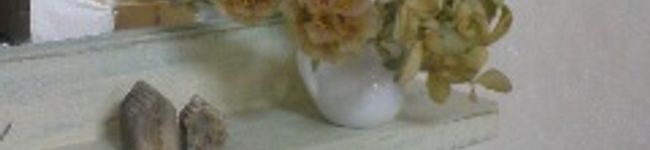 mori食堂's header image