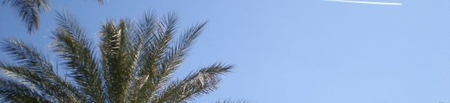sesamiki's header image