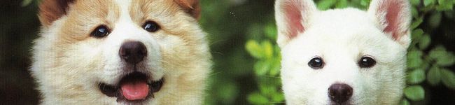 emiワン's header image
