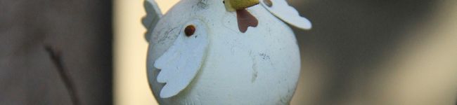 korotto's header image