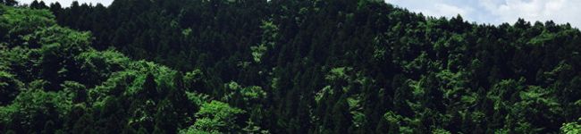 yuuuuko110's header image