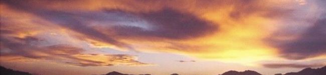 gakugonia's header image