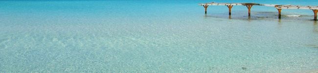 tacuba's header image