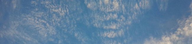 あひる511's header image