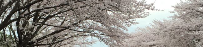 Kao's header image