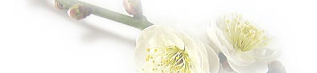 Shahrazad's header image
